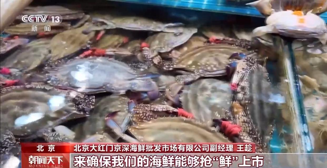 大市场 大活力丨“五一”假日餐桌海鲜热度揭秘 生蚝如何抢“鲜”出发？