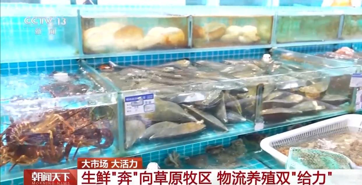 大市场 大活力丨“五一”假日餐桌海鲜热度揭秘 生蚝如何抢“鲜”出发？