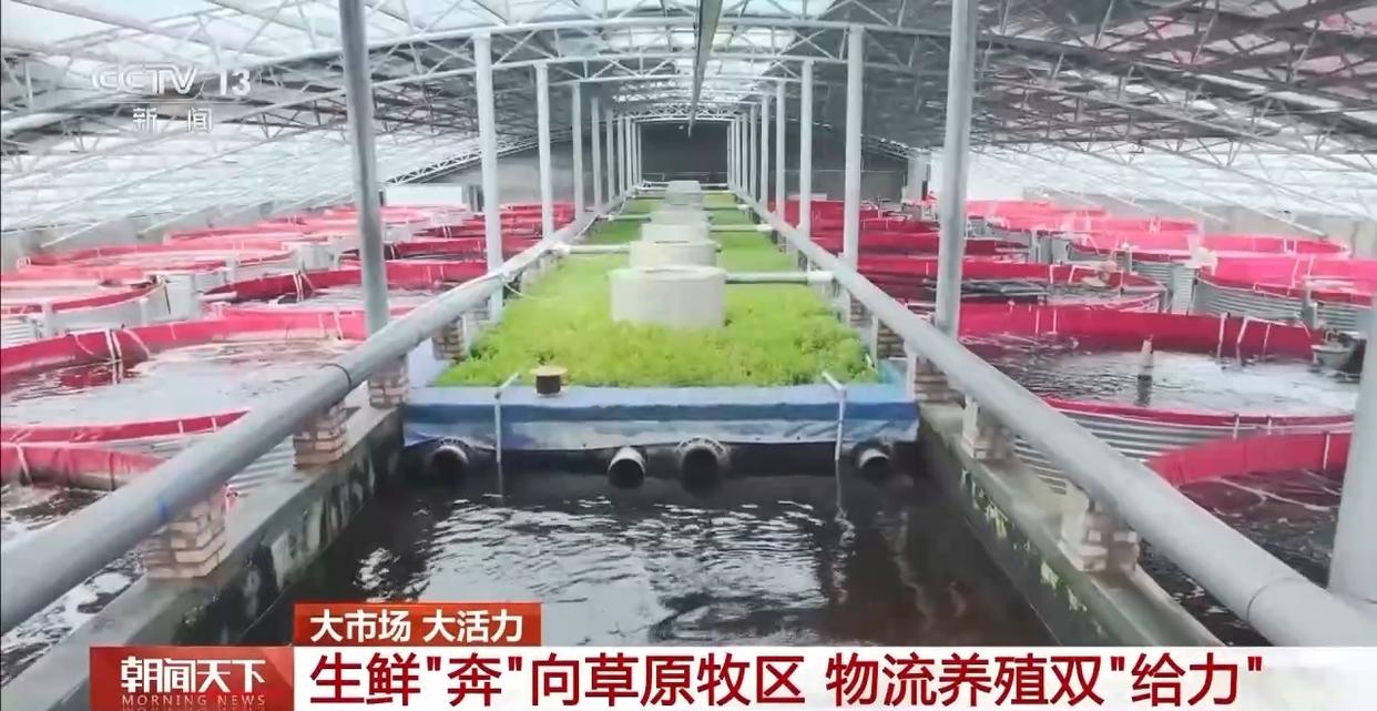 大市场 大活力丨“五一”假日餐桌海鲜热度揭秘 生蚝如何抢“鲜”出发？
