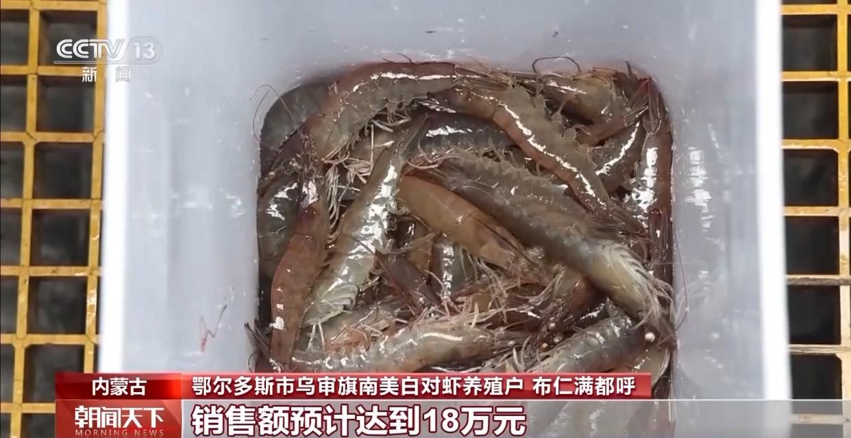 大市场 大活力丨“五一”假日餐桌海鲜热度揭秘 生蚝如何抢“鲜”出发？