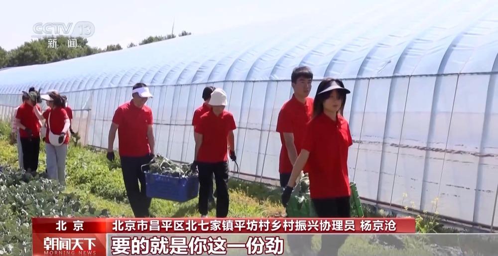@大学应届毕业生：基层就业还可享受这些“政策礼包”