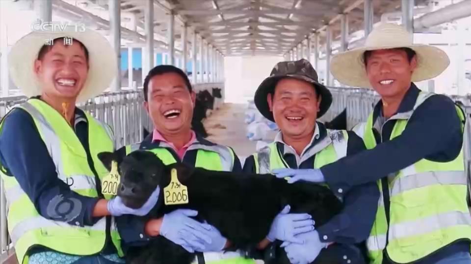致敬奋斗者｜什么是“劳模精神”？他们用行动书写时代答卷