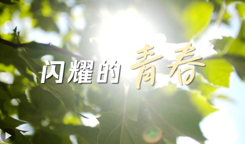 闪耀的青春