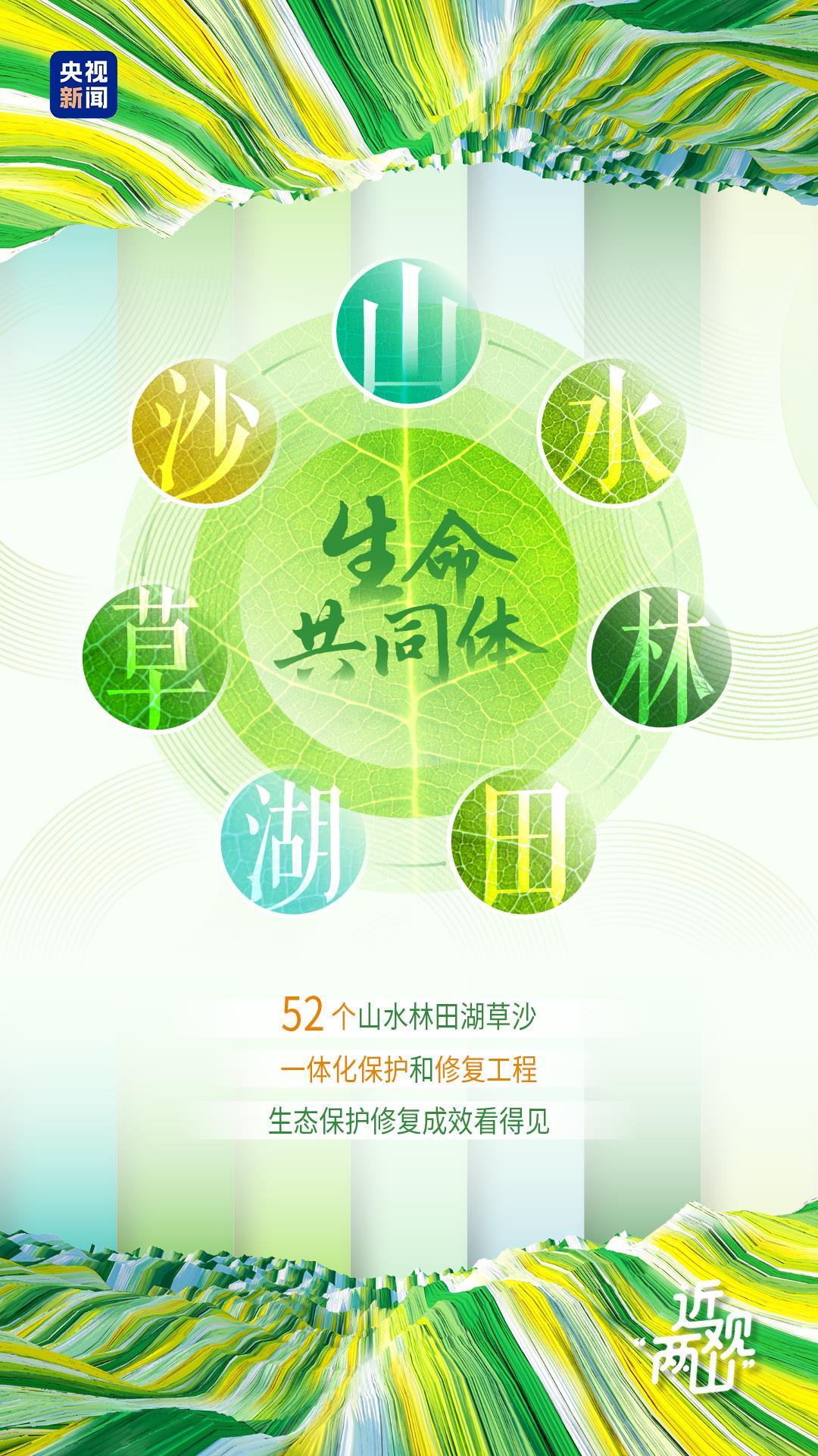 近观“两山”丨久久为功 山水蝶变