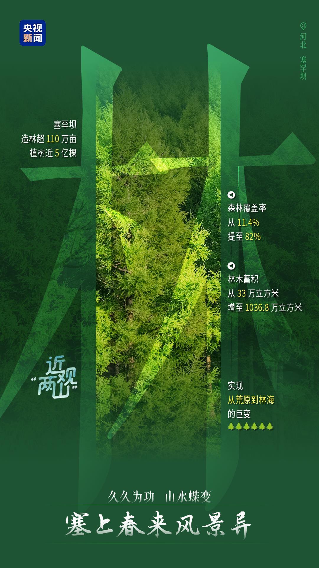 近观“两山”丨久久为功 山水蝶变