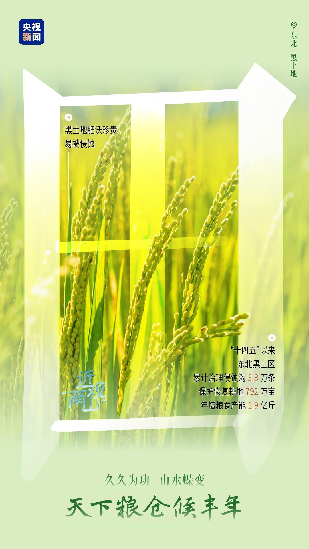近观“两山”丨久久为功 山水蝶变