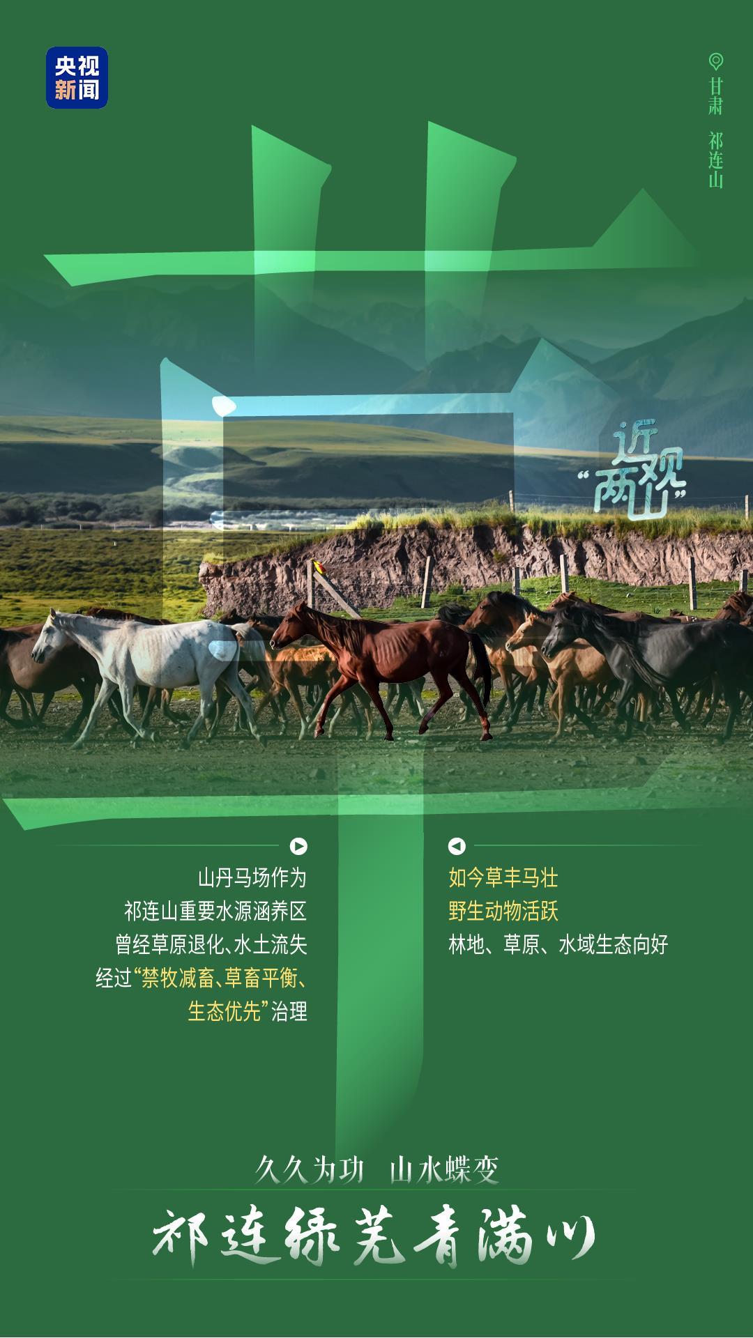近观“两山”丨久久为功 山水蝶变