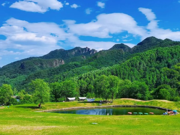 草木蔓发，春山可望——延庆：闯出“绿富同兴”生态路