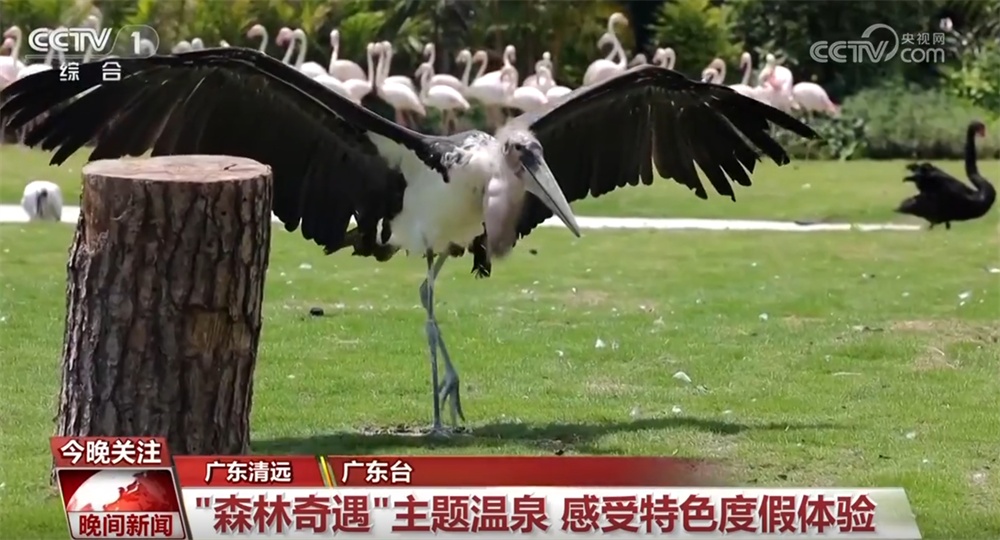 从“观光式”向“沉浸式”转变 “五一”假期文旅消费“热力值”持续攀升