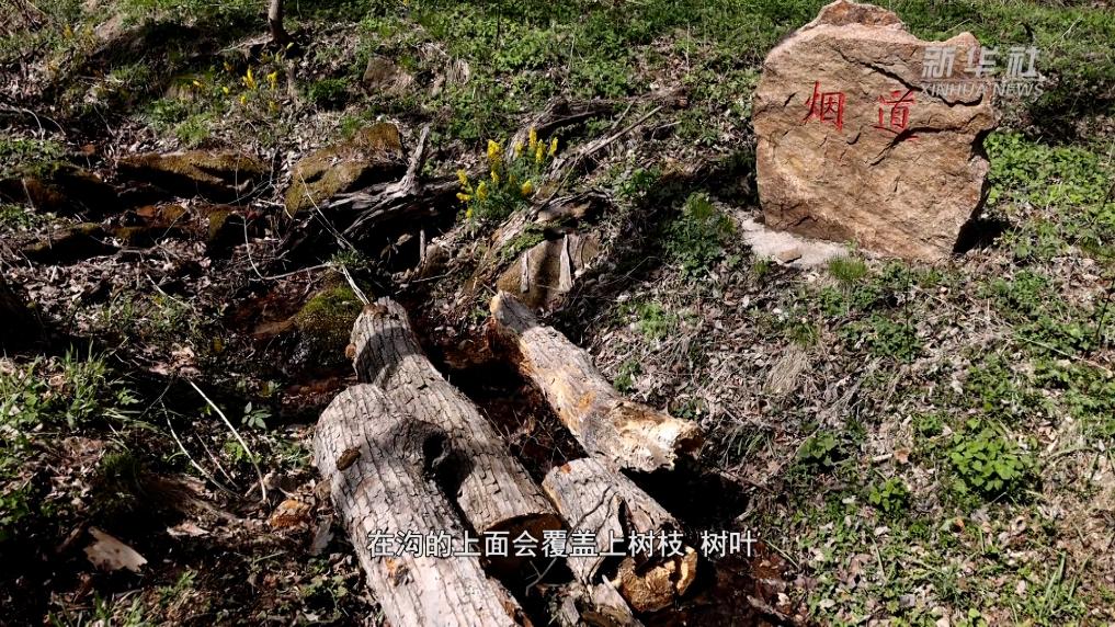 山河印记·寻访抗战足迹丨炊烟无痕 抗联密营里的“消烟道”