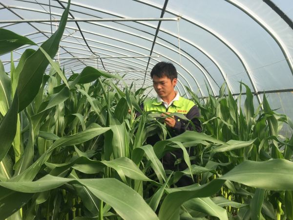 【好评中国·追光青年】“新农人”的科技兴农路