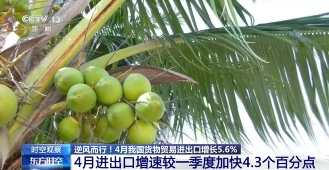 关税战下 中国外贸进出口表现亮眼背后的底气