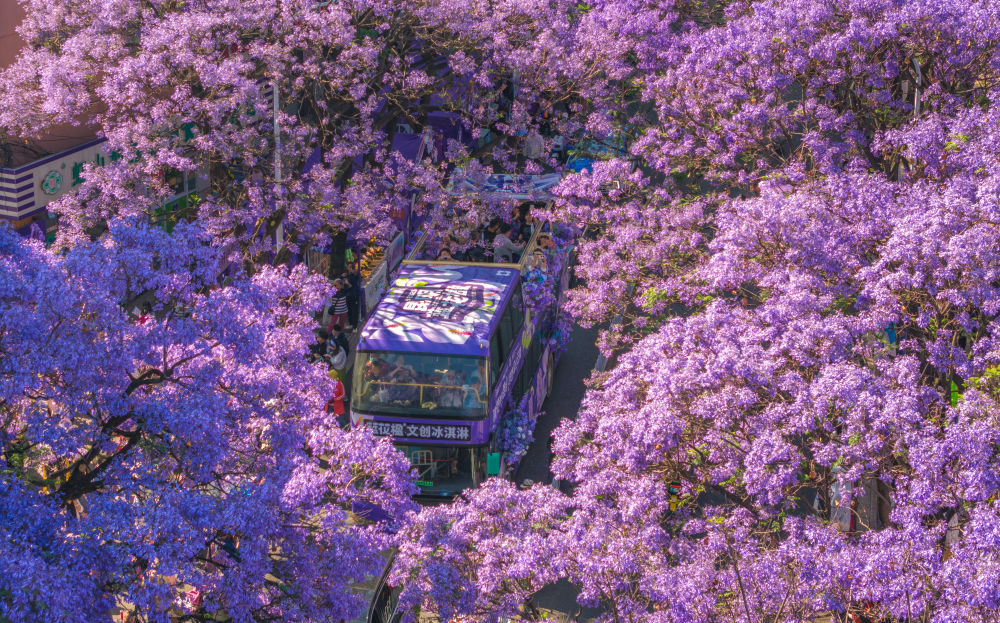 以更优服务繁荣文旅市场