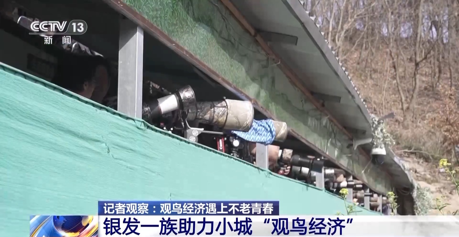 公园长满“打鸟”大爷 银发一族助力小城“观鸟经济”