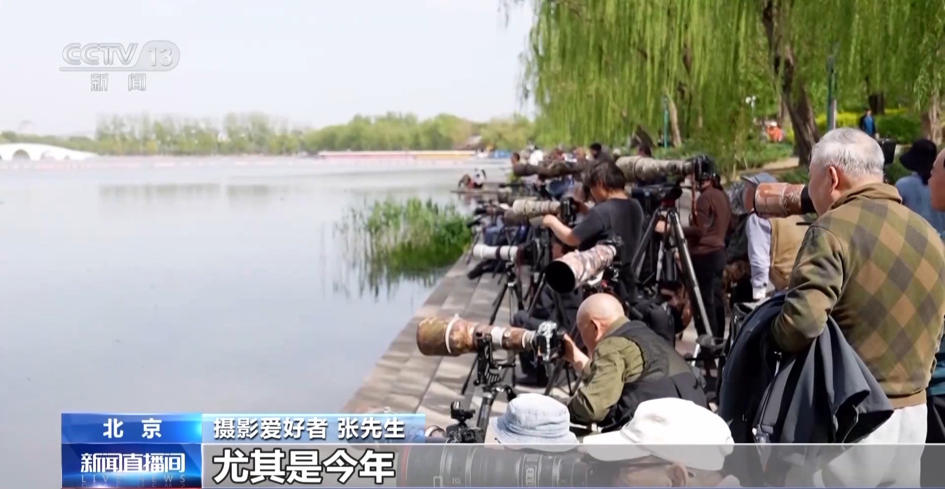公园长满“打鸟”大爷 银发一族助力小城“观鸟经济”