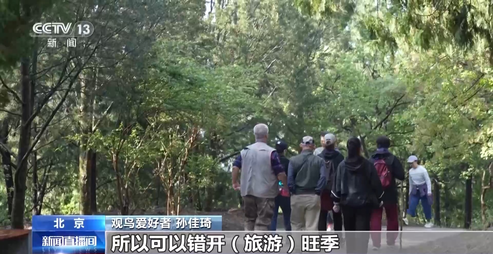 公园长满“打鸟”大爷 银发一族助力小城“观鸟经济”