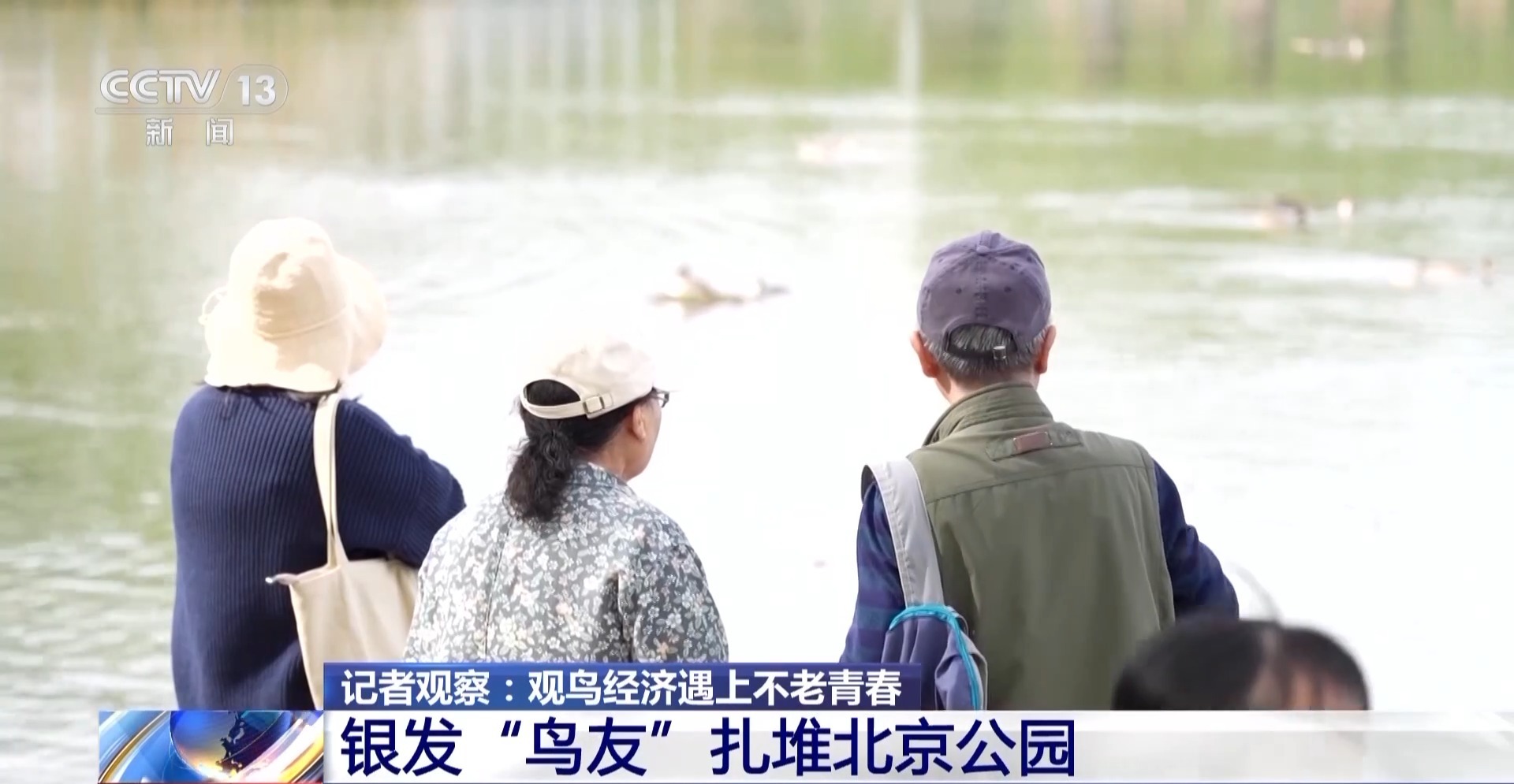 公园长满“打鸟”大爷 银发一族助力小城“观鸟经济”