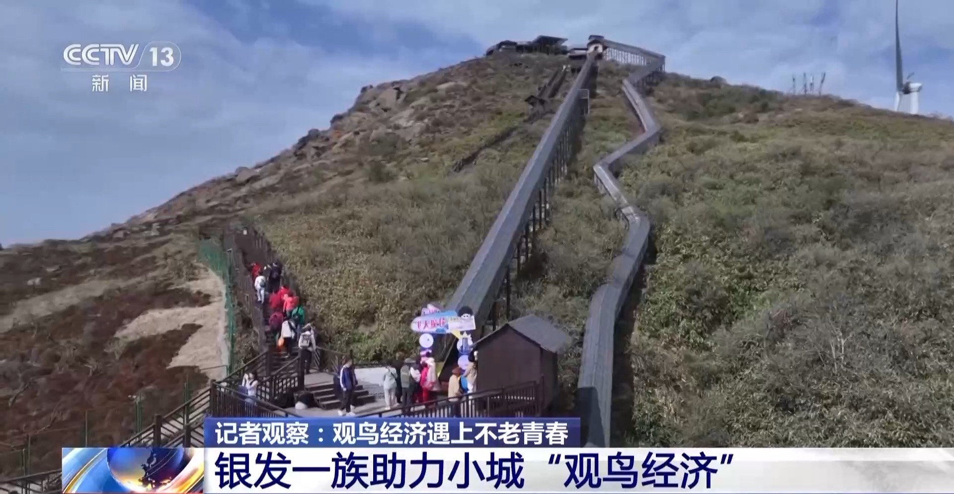公园长满“打鸟”大爷 银发一族助力小城“观鸟经济”