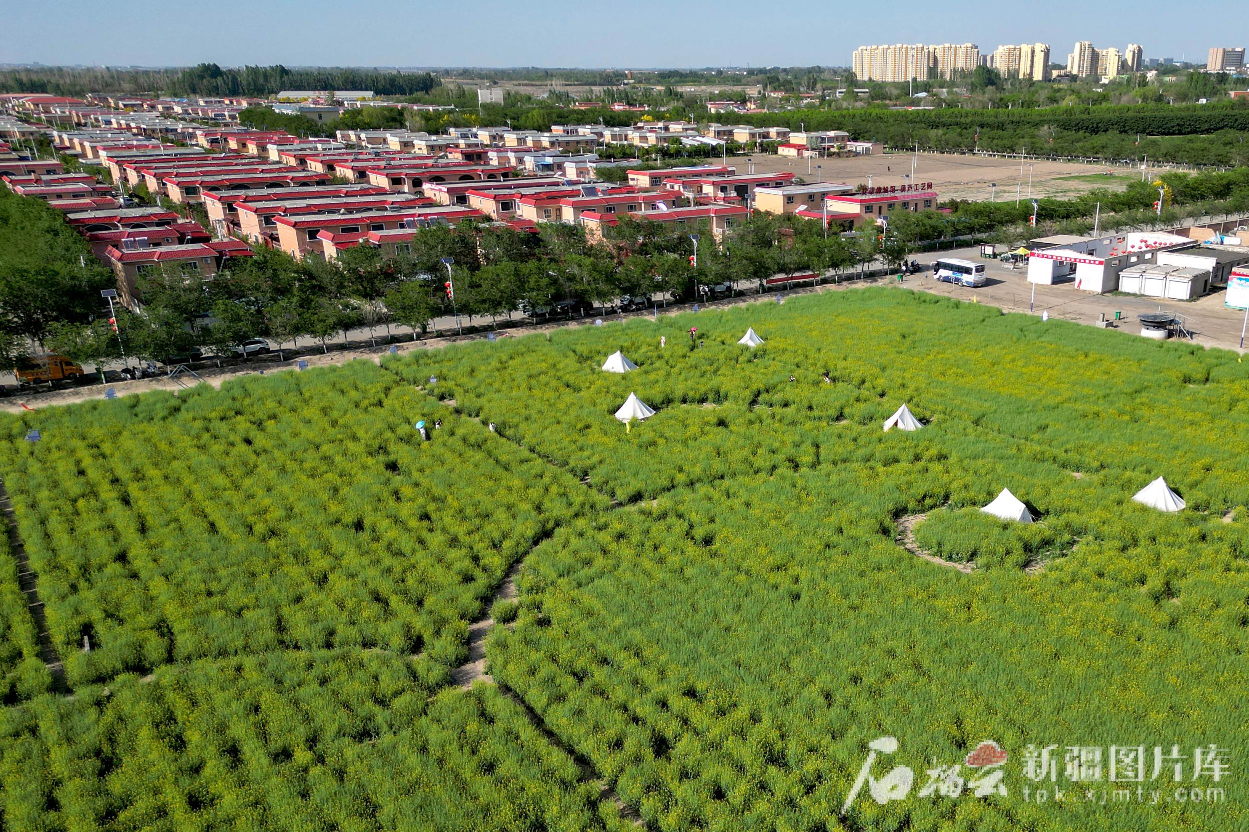 航拍新疆丨从平顶山到十三户瞰美丽乡村