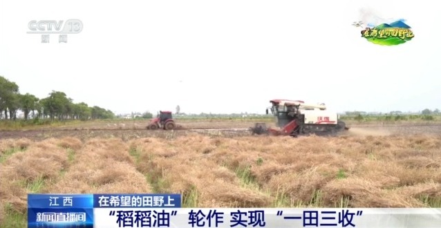 在希望的田野上丨东北春播进度近三成 一键查看各地农业生产进度条→