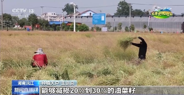 在希望的田野上丨东北春播进度近三成 一键查看各地农业生产进度条→