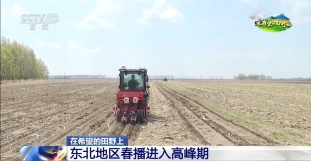 在希望的田野上丨东北春播进度近三成 一键查看各地农业生产进度条→