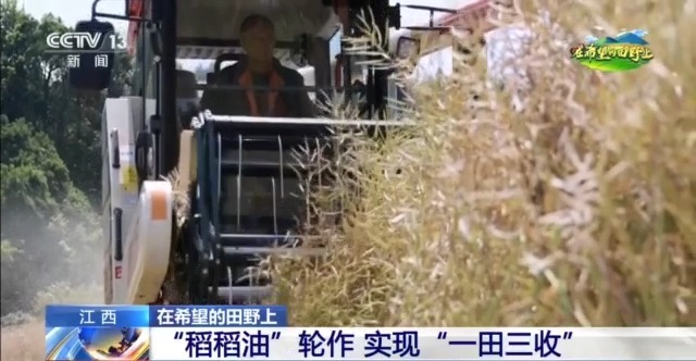 在希望的田野上丨东北春播进度近三成 一键查看各地农业生产进度条→