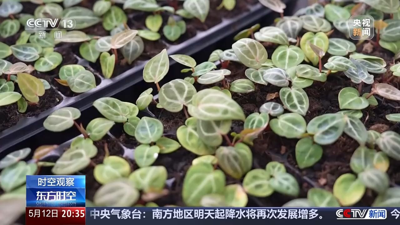 花钱开心 各类“情绪消费”产品受年轻人青睐