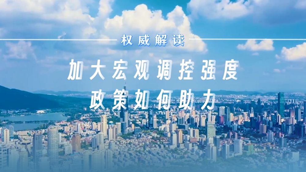 权威解读｜加大宏观调控强度，政策如何助力