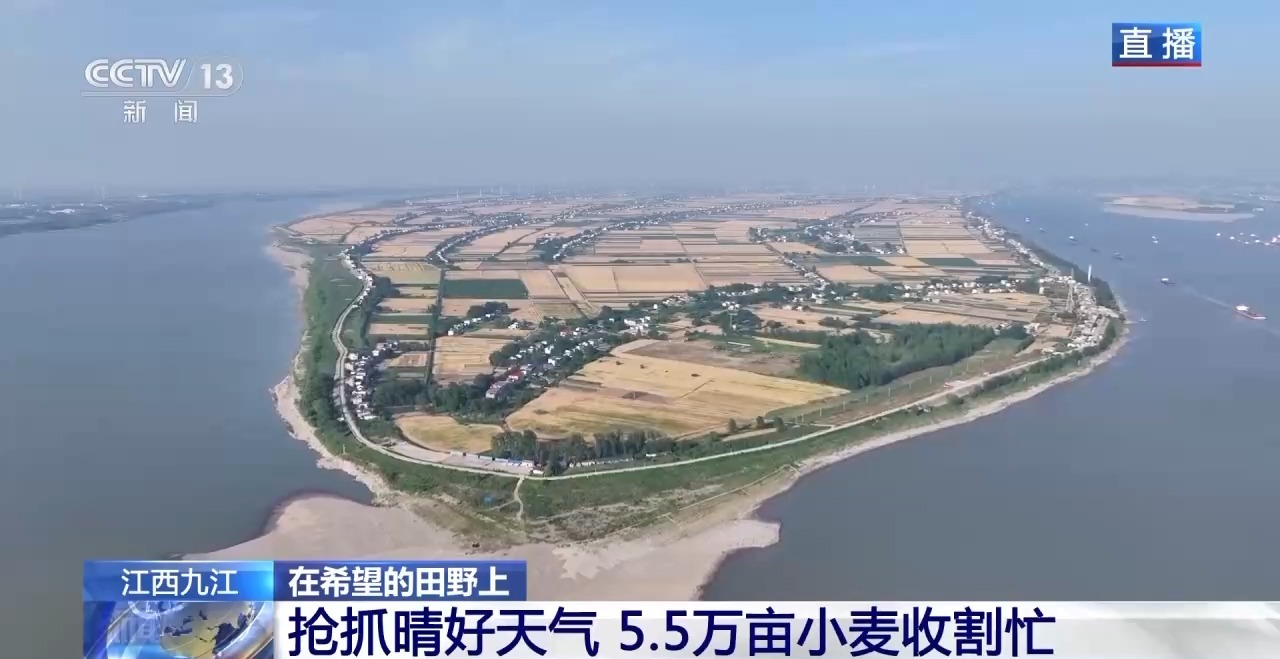 收割机装上摄像头、无人插秧机“上岗”……各地尽显科技范儿