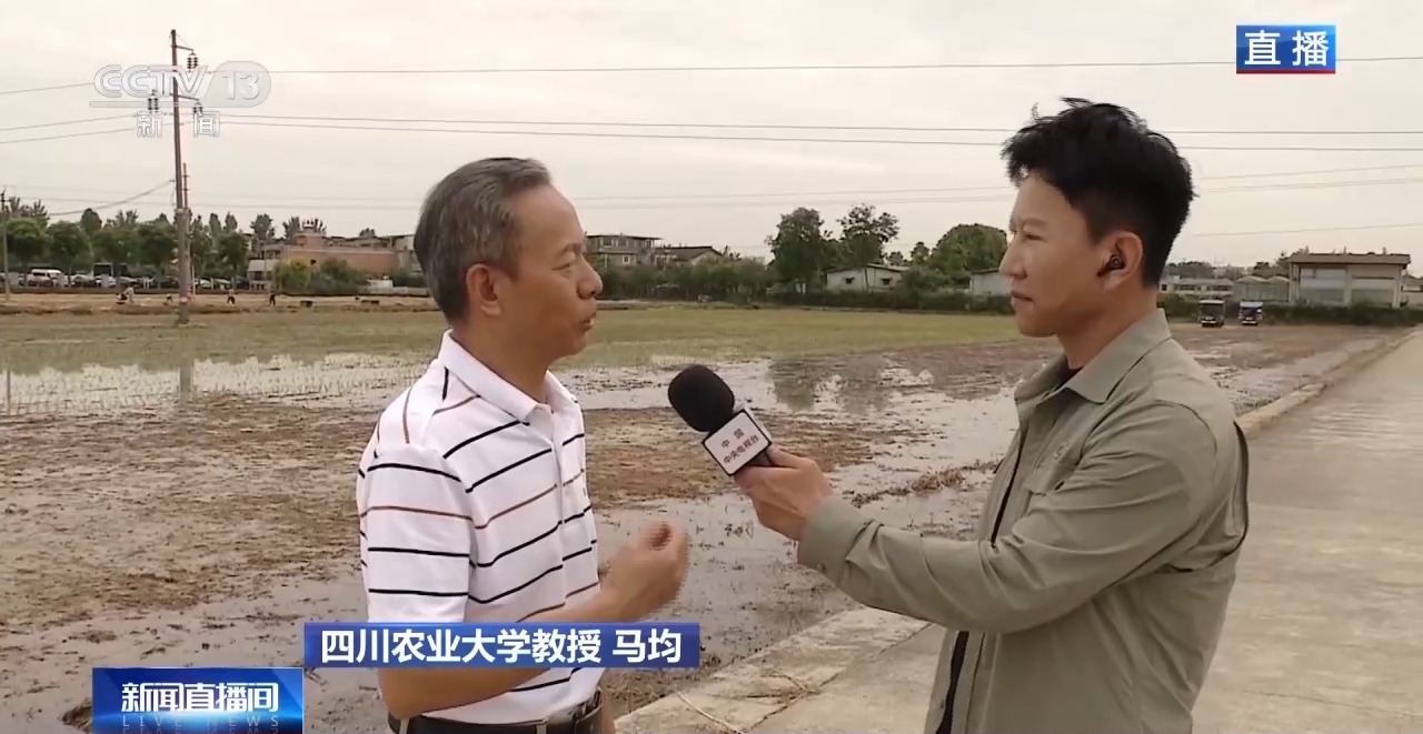 小麦也有“身份证” 丰收和播种在这里“同框”