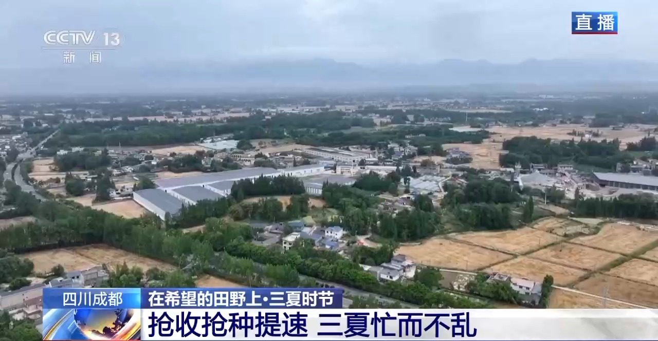 小麦也有“身份证” 丰收和播种在这里“同框”