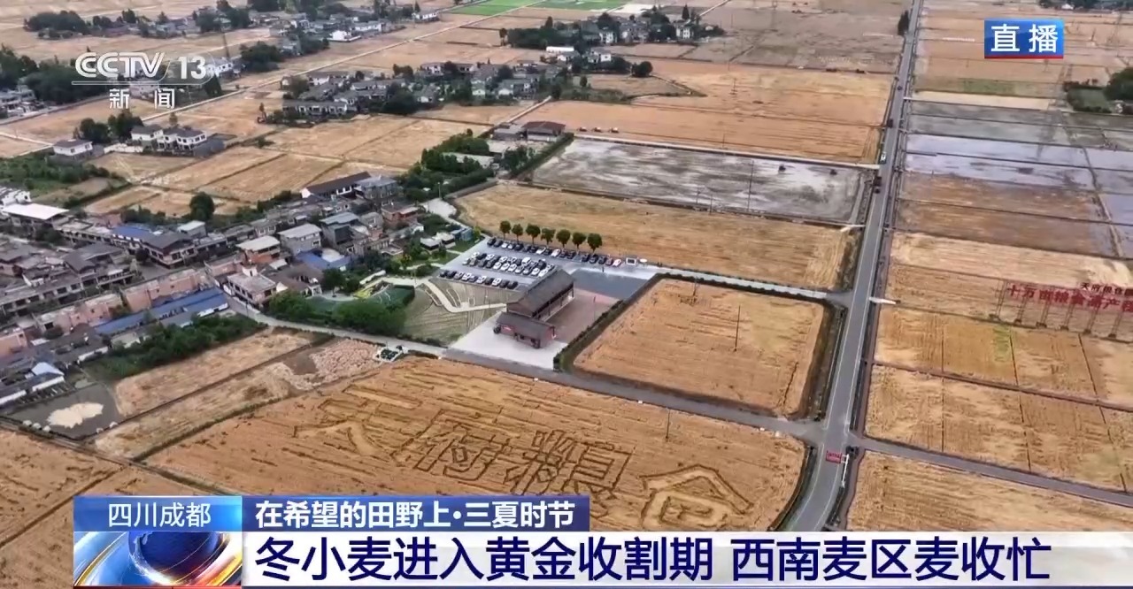 小麦也有“身份证” 丰收和播种在这里“同框”