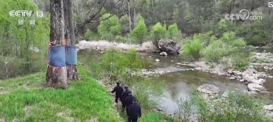 多举措绘就生态画卷：珍稀物种种群恢复 栖息地生机盎然