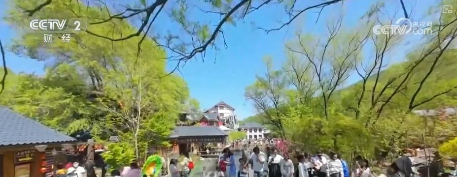 14.6亿人次，创新高！活力值拉满 透过多维出行数据透视经济澎湃动力