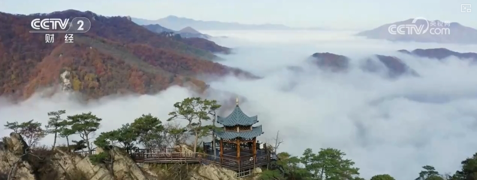 14.6亿人次，创新高！活力值拉满 透过多维出行数据透视经济澎湃动力
