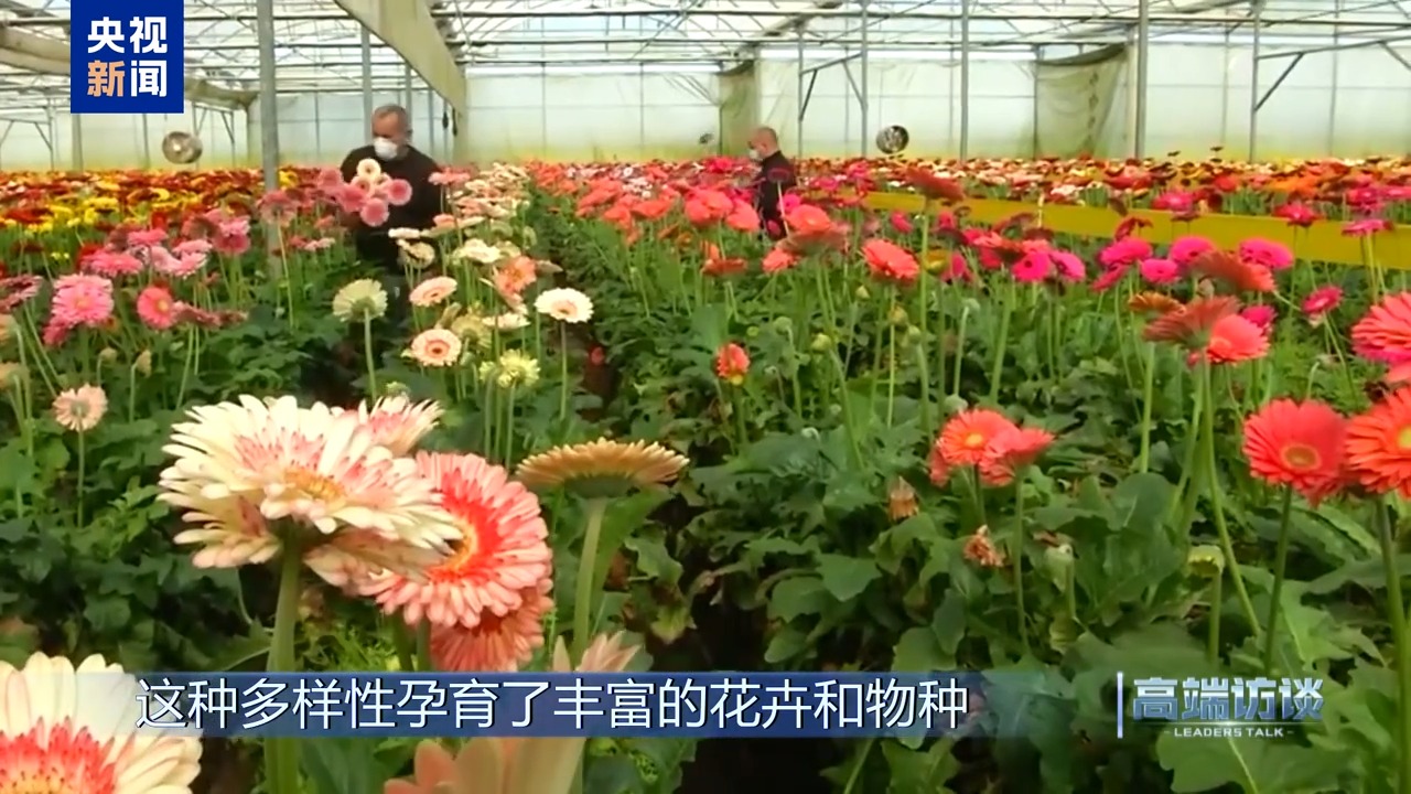 高端访谈丨专访哥伦比亚总统佩特罗