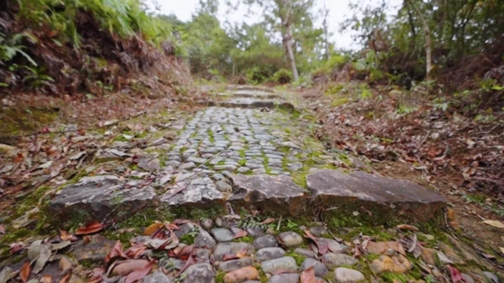 《徐霞客地理》开播，跟“史上最强旅游搭子”一起出发