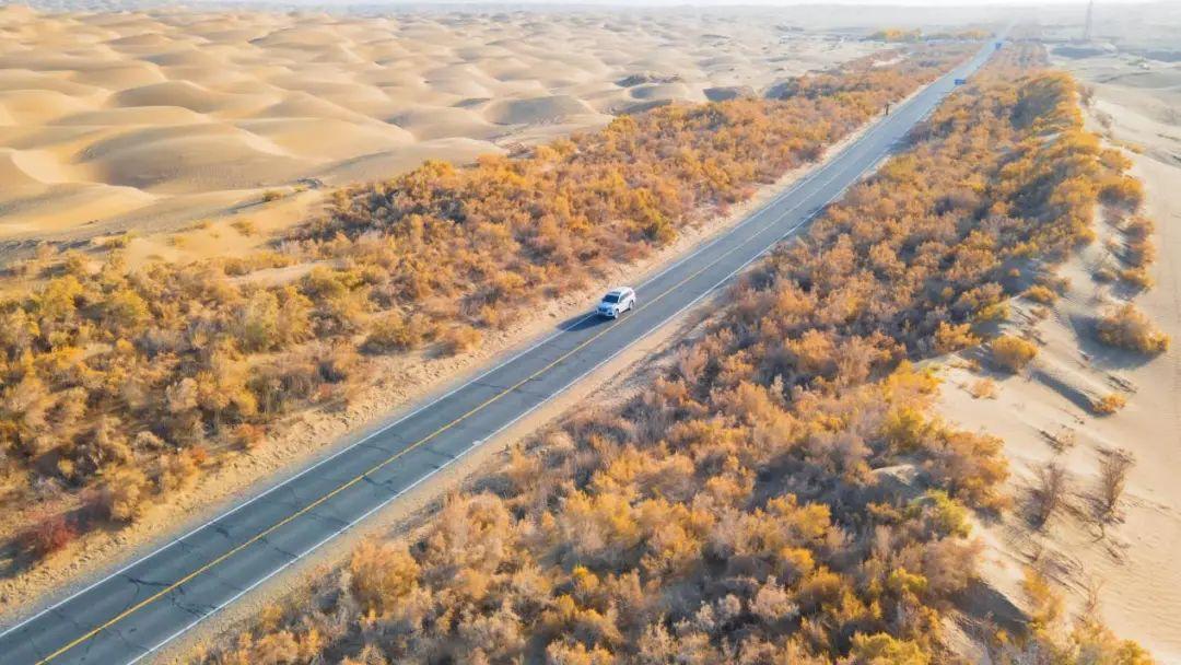零碳！这条沙漠公路用“阳光”浇出绿洲