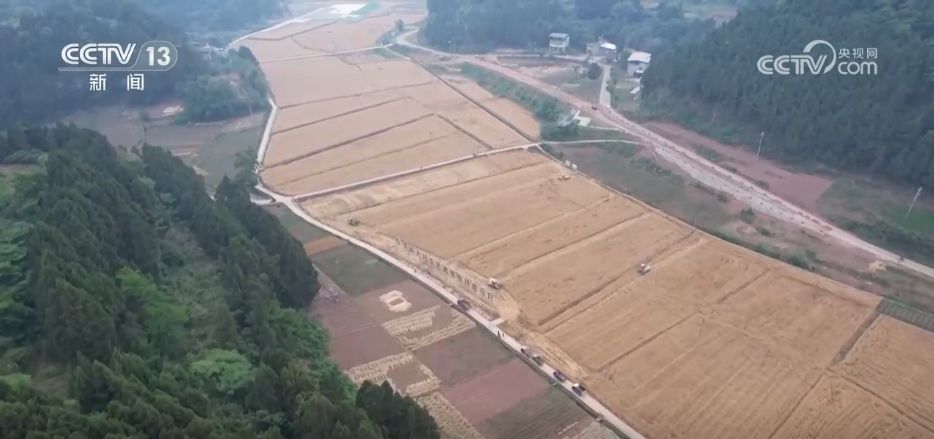 “新农机+新品种”助力增产增收 在希望的田野上“丰”景可期