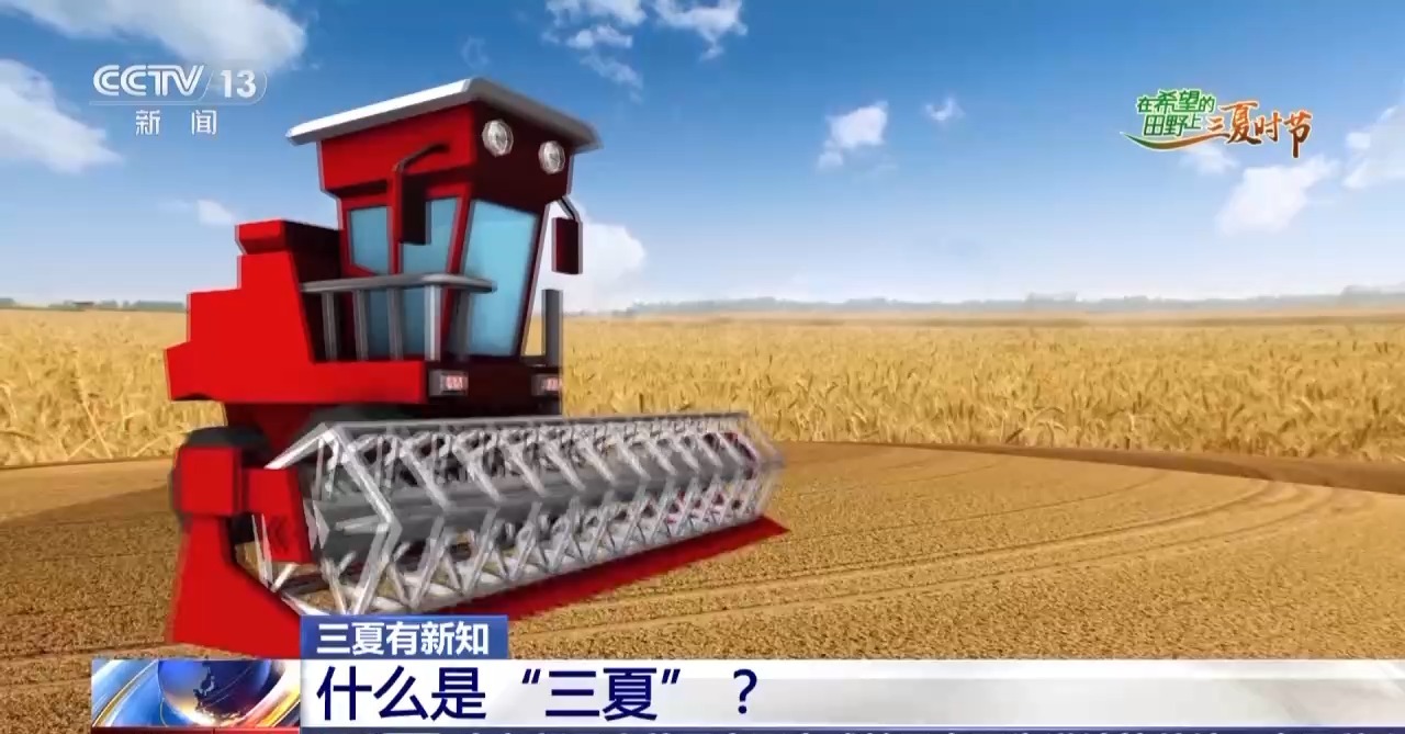 什么是“三夏”？一组数据带你了解