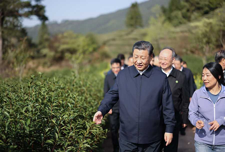 学习进行时｜习近平总书记与“茶”的故事
