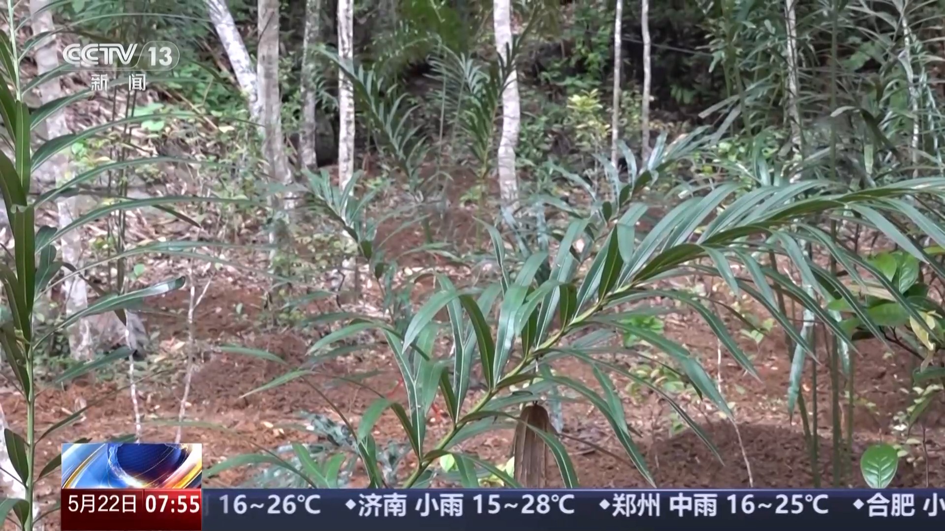 我国生物多样性保护成效如何？这份“成绩单”亮了