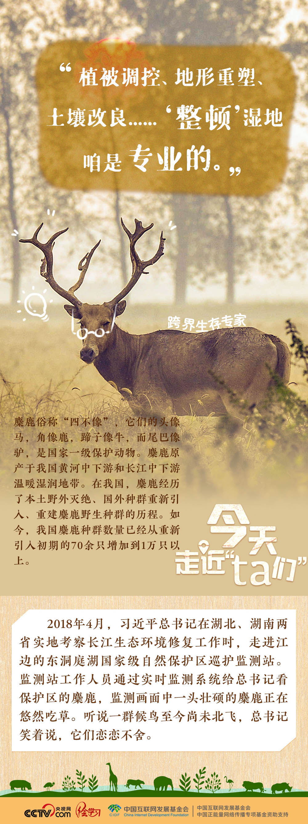天天学习｜习近平特别关注的“TA们”
