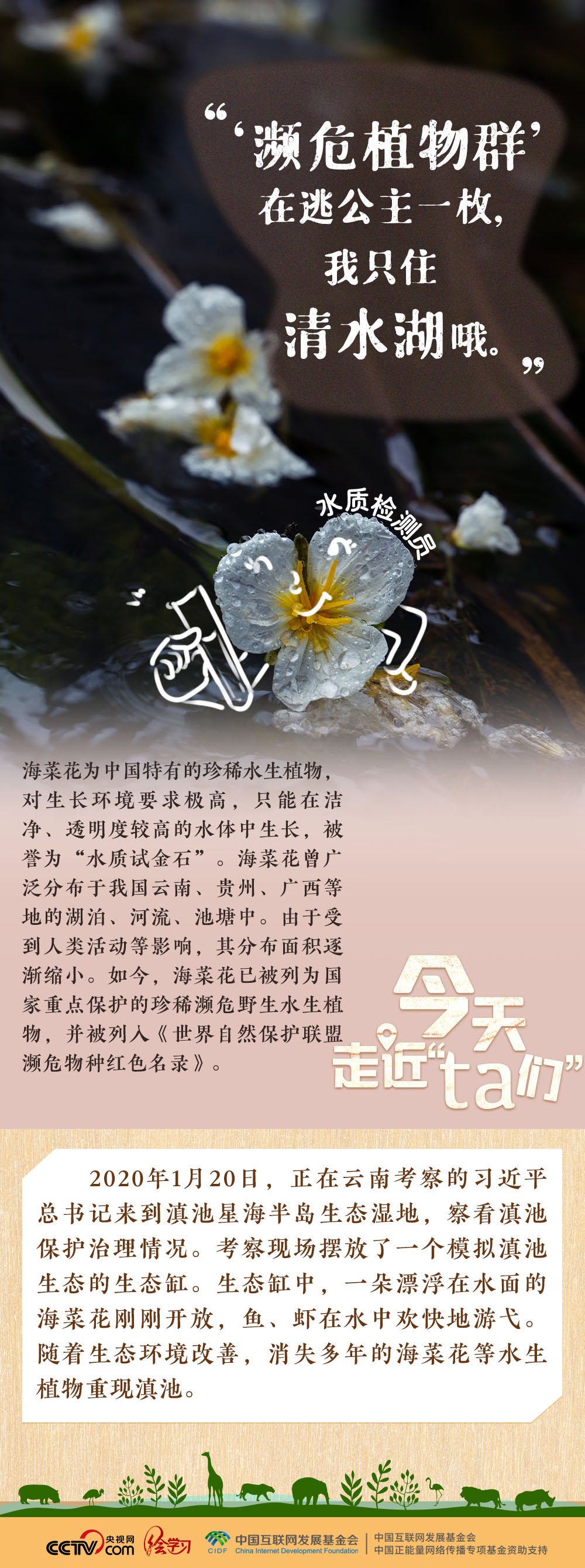 天天学习｜习近平特别关注的“TA们”
