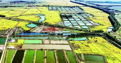 【携手奔赴现代化的明天】《光明日报》与《吉林日报》合作采写报道《这么一“升级”，吉林农业真的变了！》