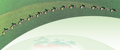 用光影记录乡村全面振兴新画卷（新时代画卷）