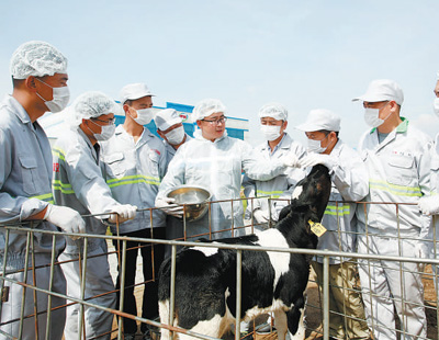 用光影记录乡村全面振兴新画卷（新时代画卷）