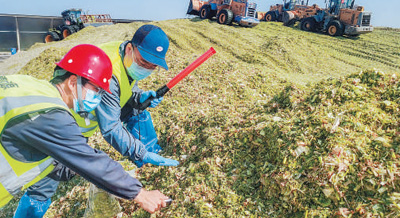 用光影记录乡村全面振兴新画卷（新时代画卷）