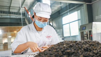 用光影记录乡村全面振兴新画卷（新时代画卷）